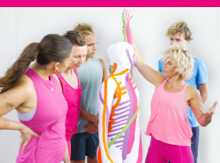 Header FASZIO® Kursleitung Faszie-Fitness